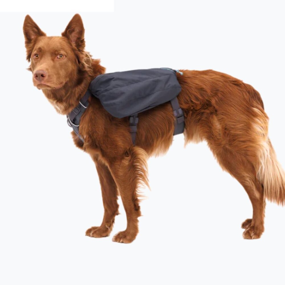 NWT RuffWear Front Range Dog Day Pack- Small